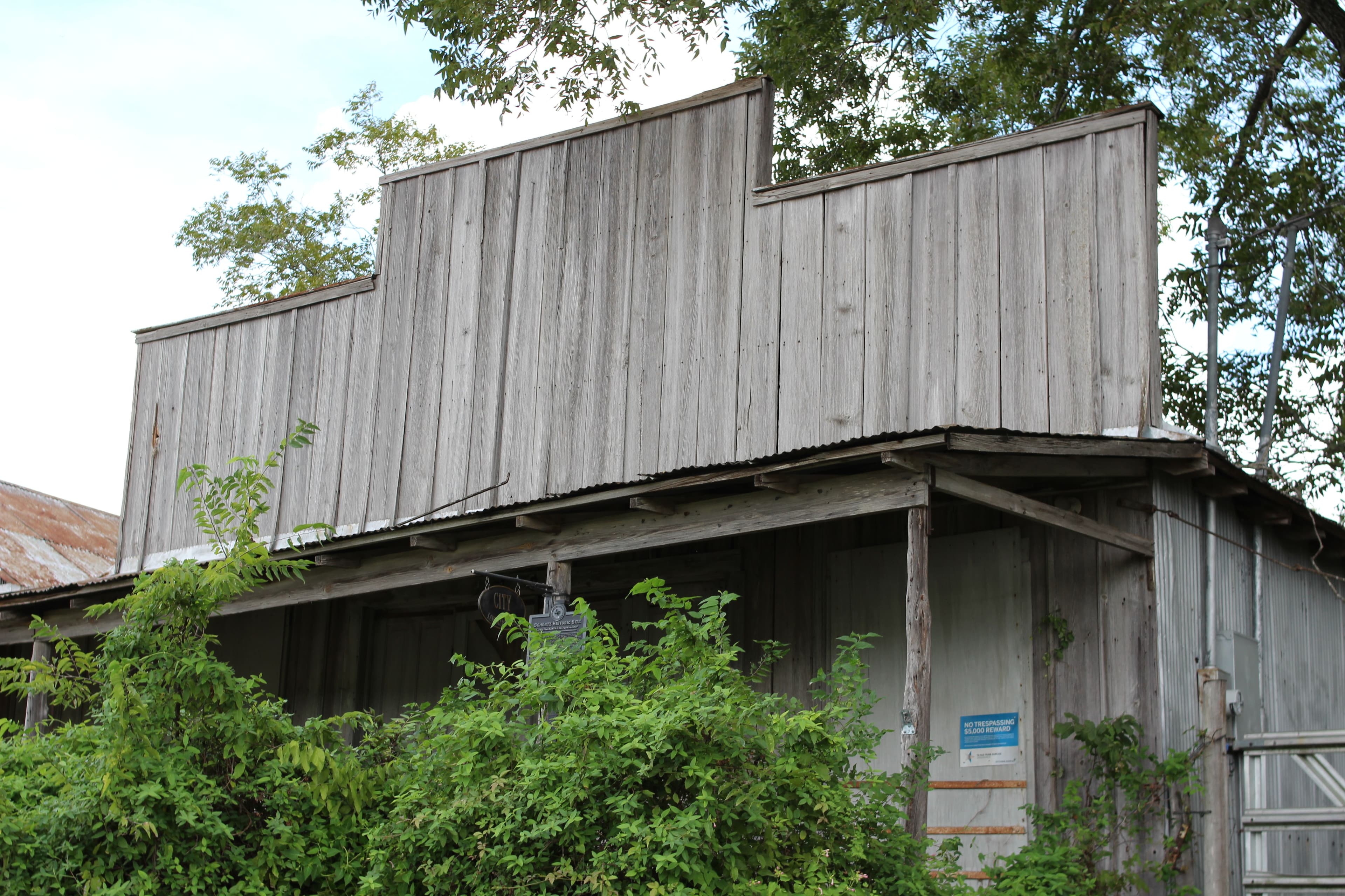 A disused timber building with unpainted grey board walls and a tall stepped false front, fronted by an open porch under a sagging corrugated metal awning on rough posts. Vines and saplings have grown up across the whole frontage; a blue notice is fixed to the wall at the right, a small plaque and a marker post stand under the awning, and trees overhang the roof.