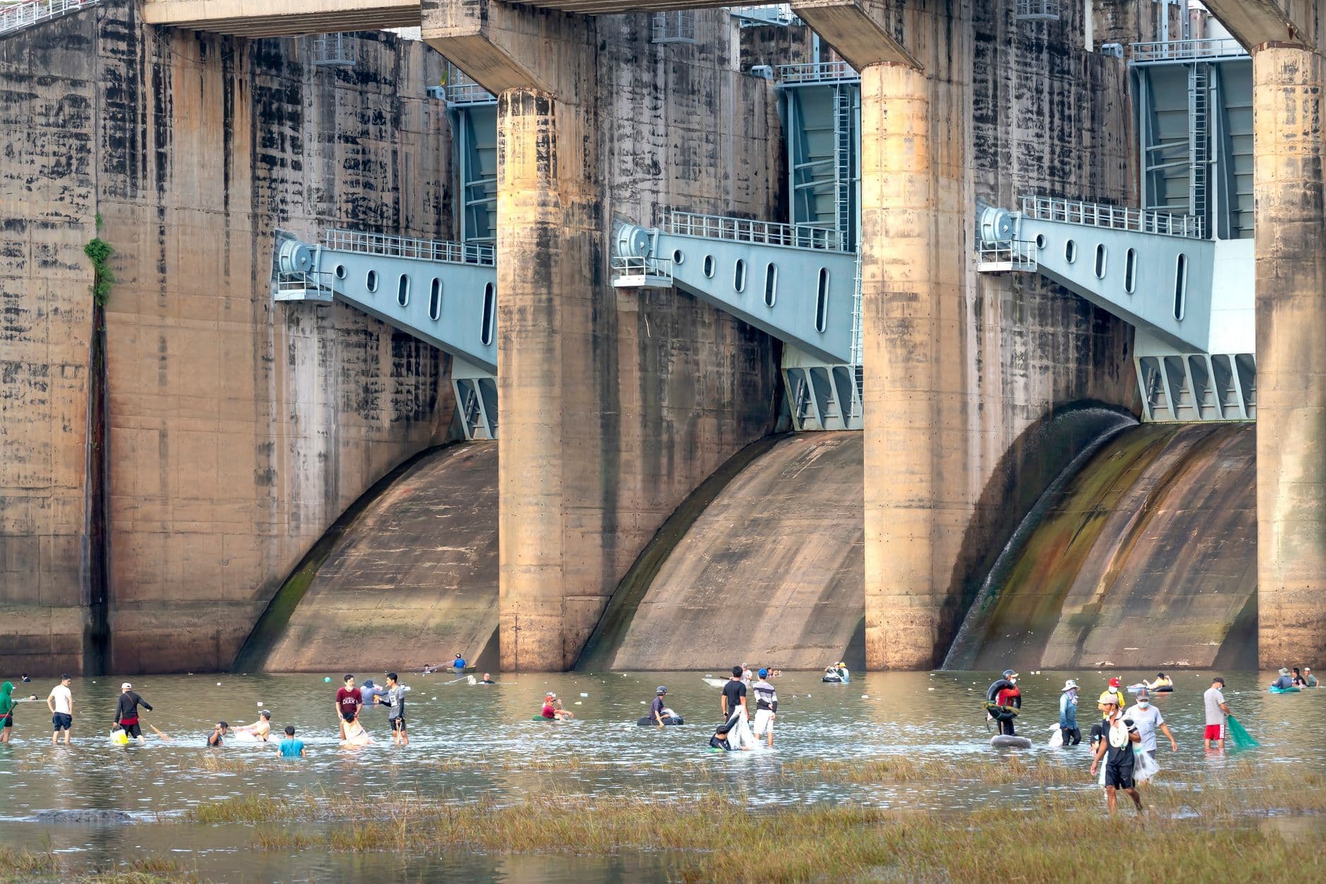 People wading below the spillways of a large concrete dam.