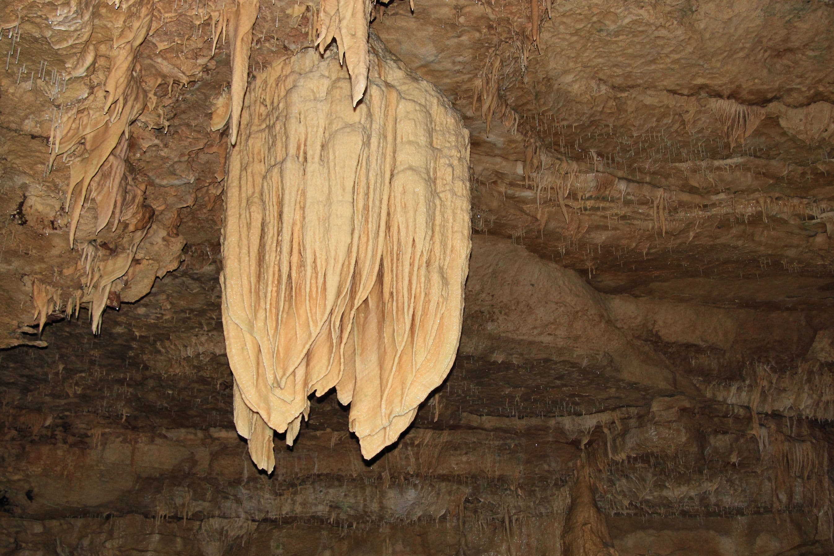 A large cream and pale orange sheet of cave calcite hangs from a brown limestone ceiling, ribbed with vertical folds and ending in broad pointed lobes, with smaller stalactites and thin straws on the rock behind it.