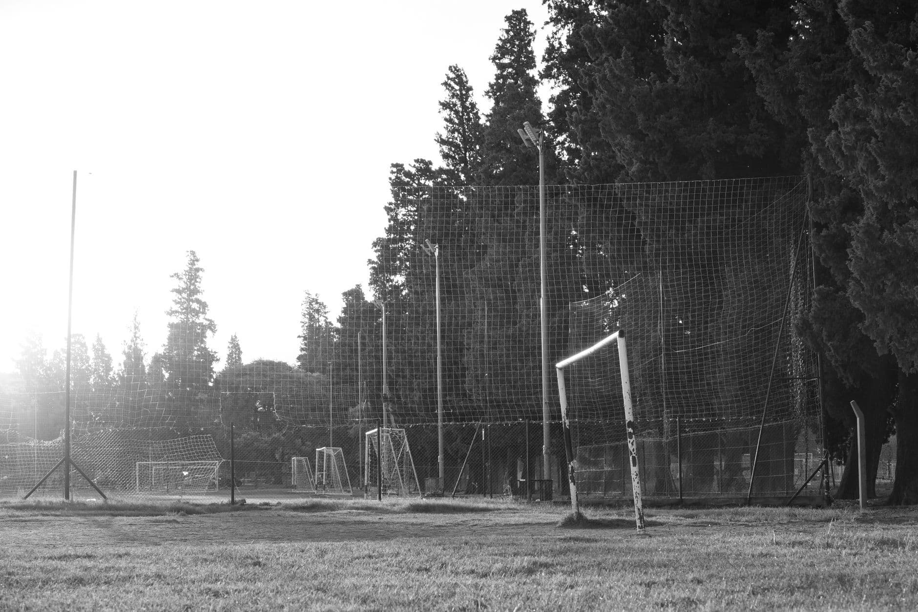 Empty soccer field with goalposts, floodlights, perimeter netting and trees.