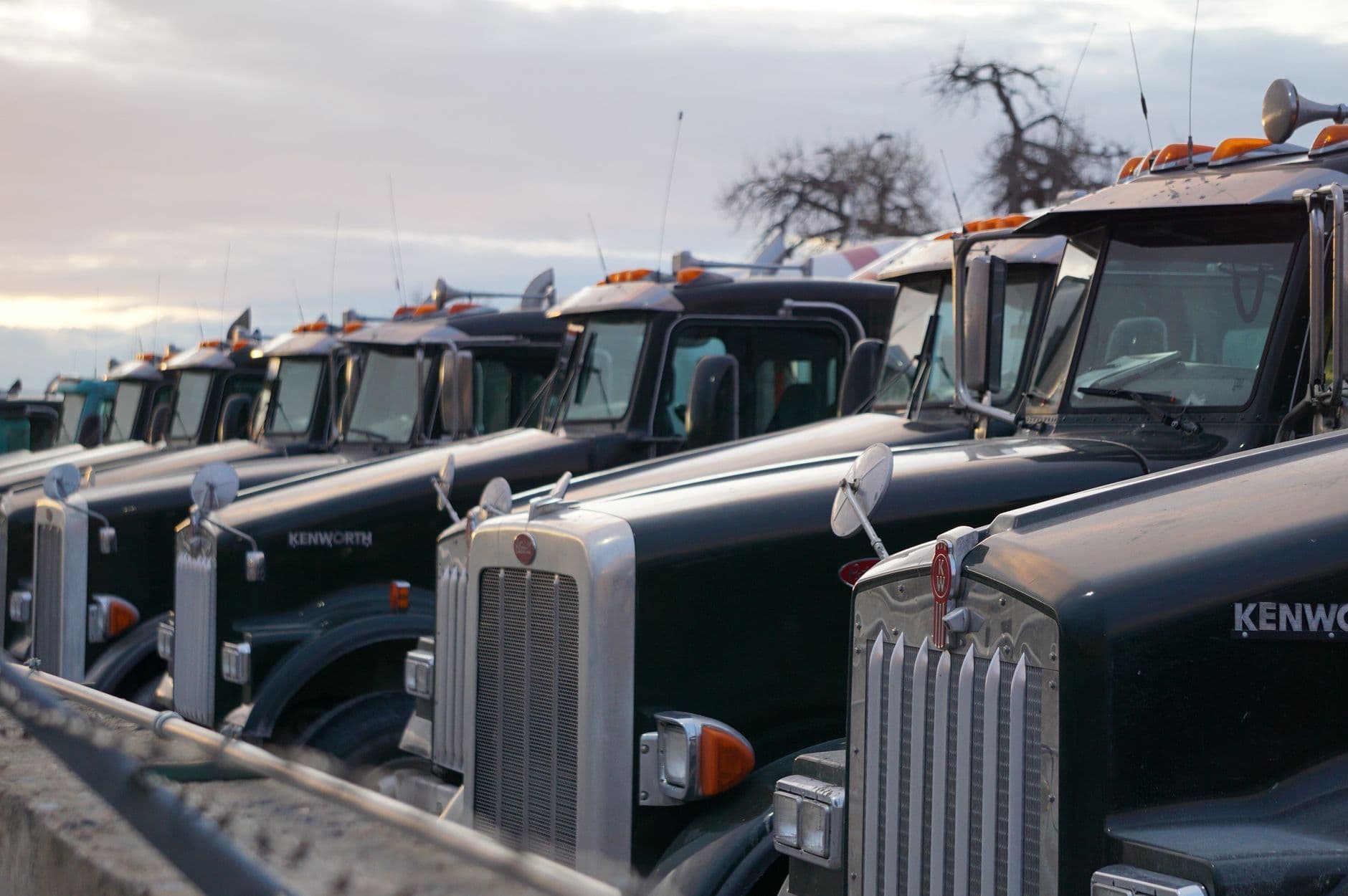 Several dark-colored heavy trucks parked in a row beneath a cloudy sky.