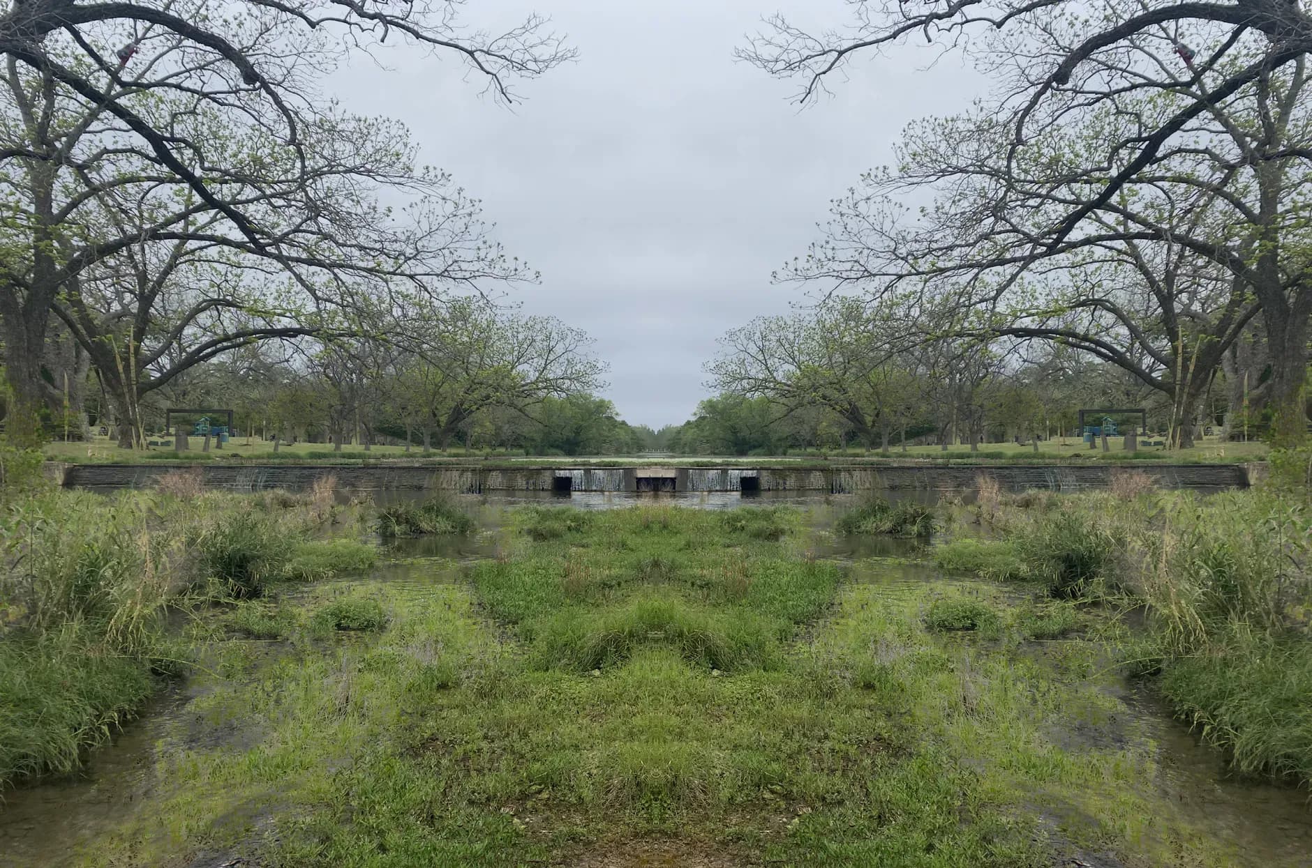 Shallow creek and grassy banks beneath large trees in a park-like setting.