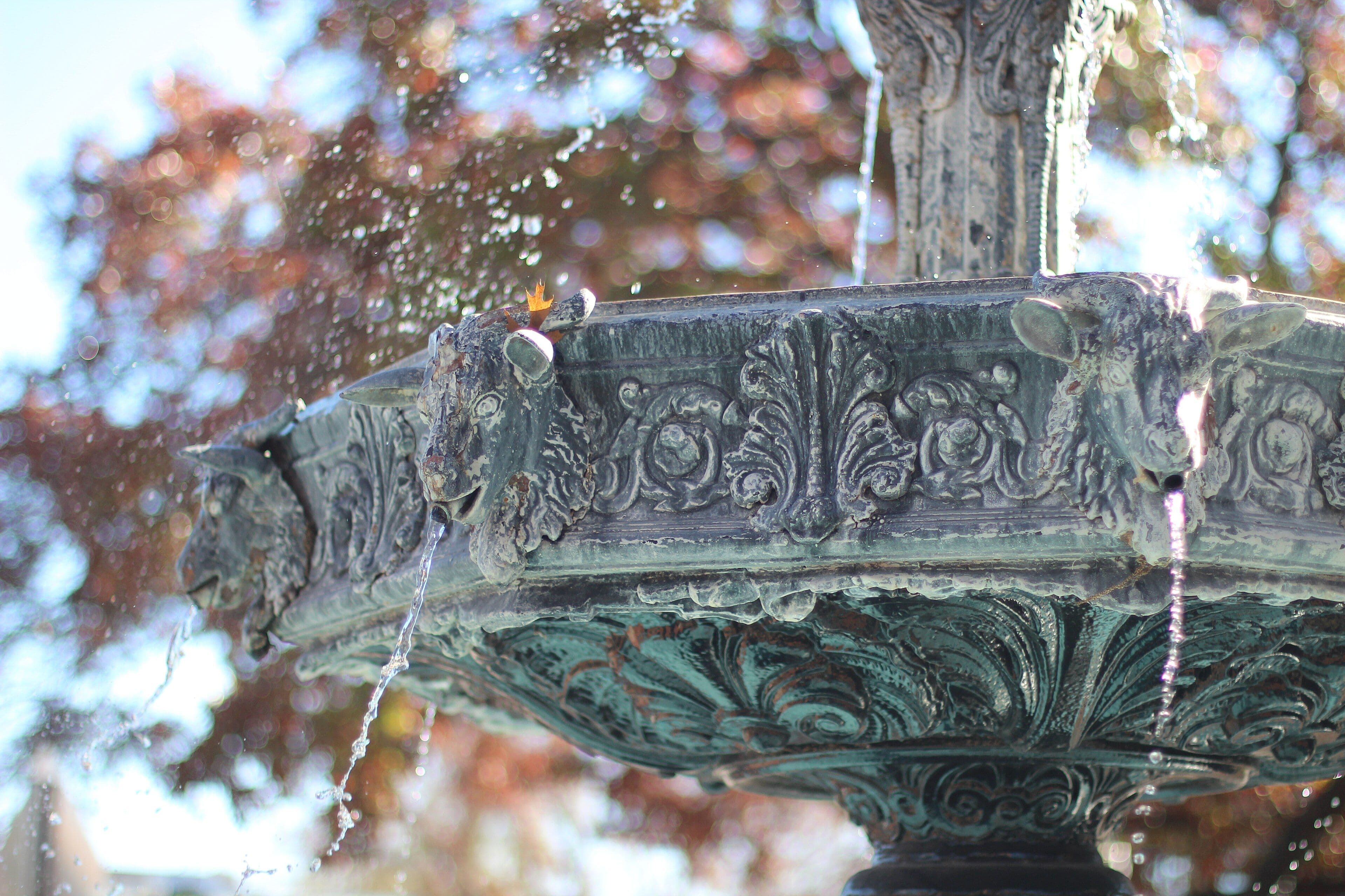 A close view of the upper bowl of an ornate cast-iron fountain. Water runs from moulded animal-head spouts around the rim and drips from the scalloped, leaf-patterned underside; the background trees are blurred.