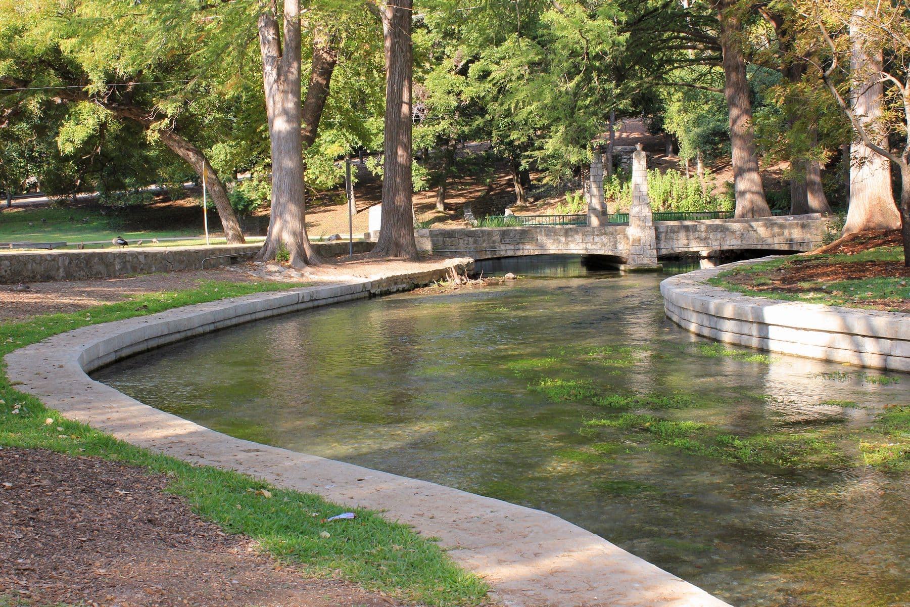 Clear shallow river water with green plants on the bed, curving between banks edged in pale limestone. A small stone arch bridge crosses in the distance, and huge cypress trees with wide trunks stand along both sides under a leafy canopy.