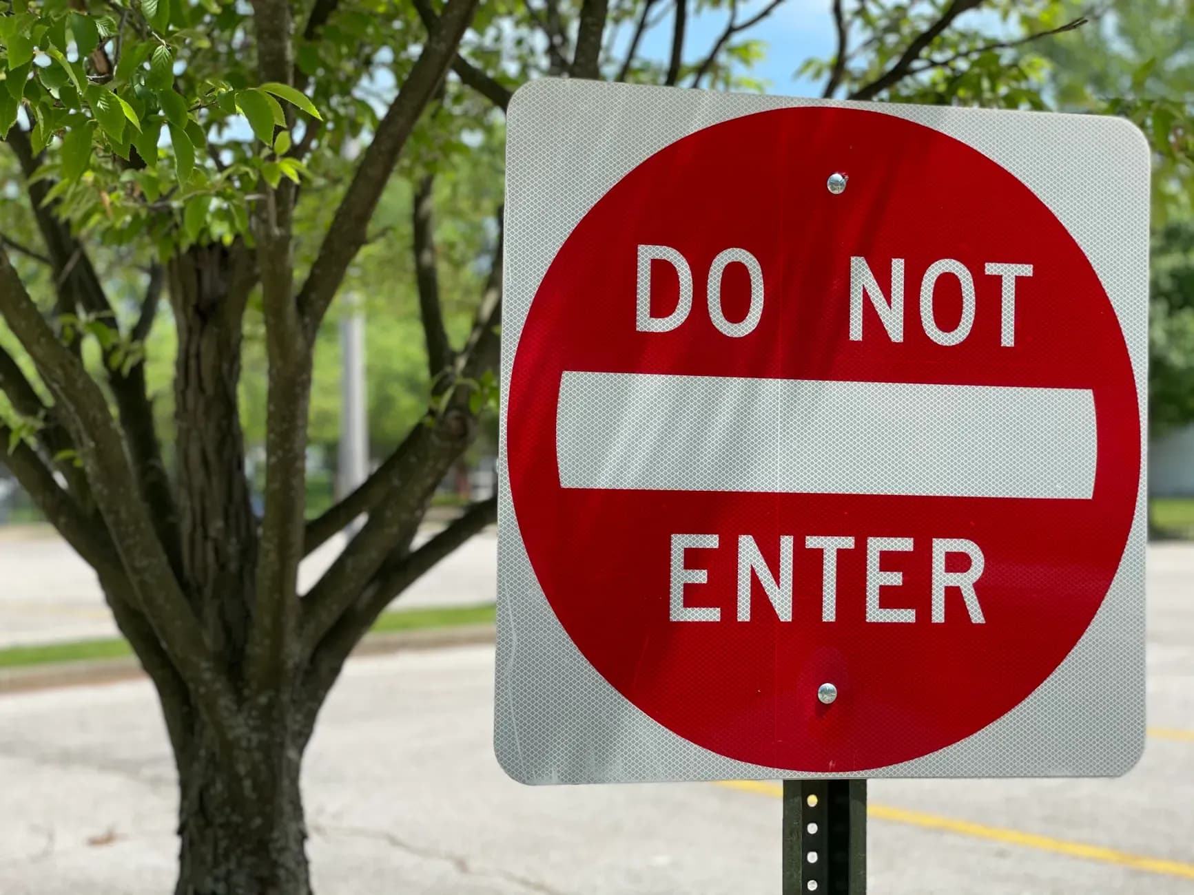 Close view of a Do Not Enter traffic sign next to a leafy tree along a road.